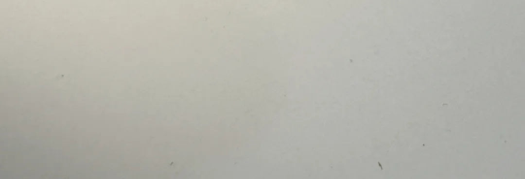 deb58981-039f-42ad-a1a5-2702b093ac65